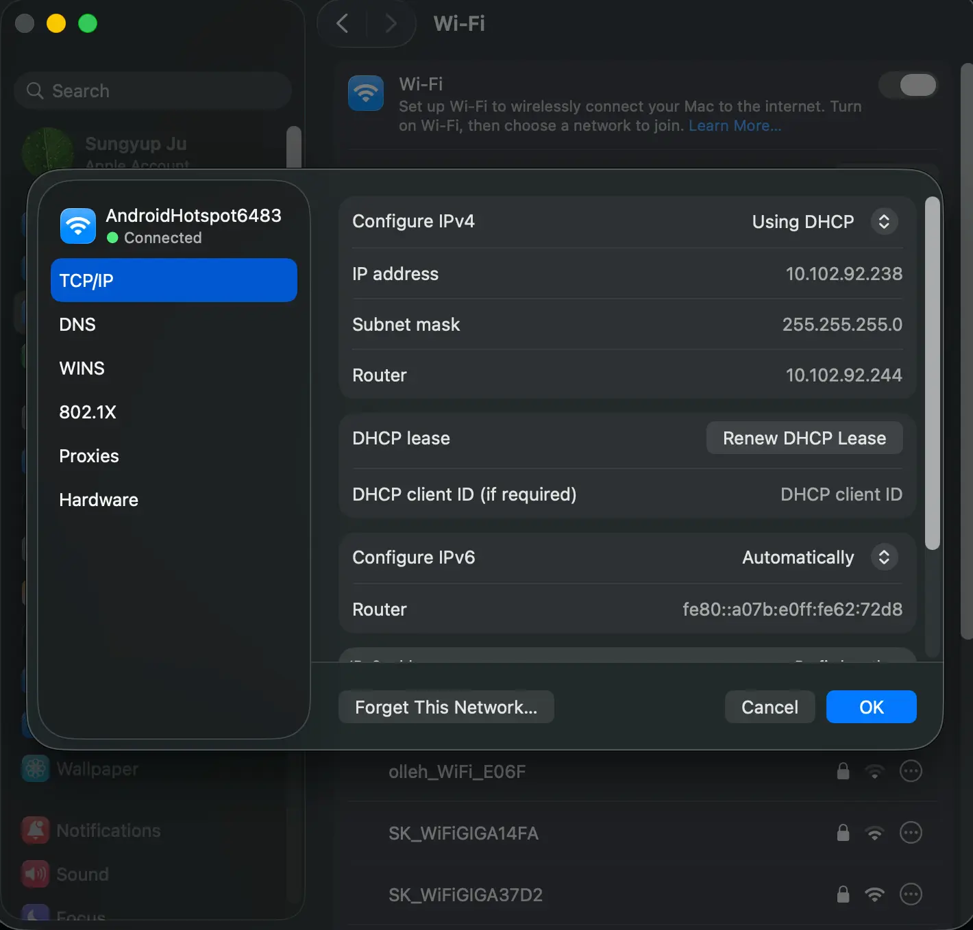 macbook checking ip address