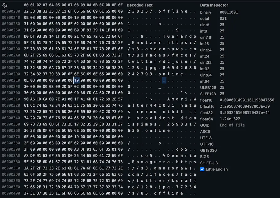 16423 file opened in hex editor