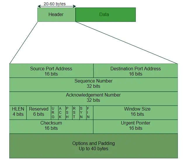 tcp segment header format